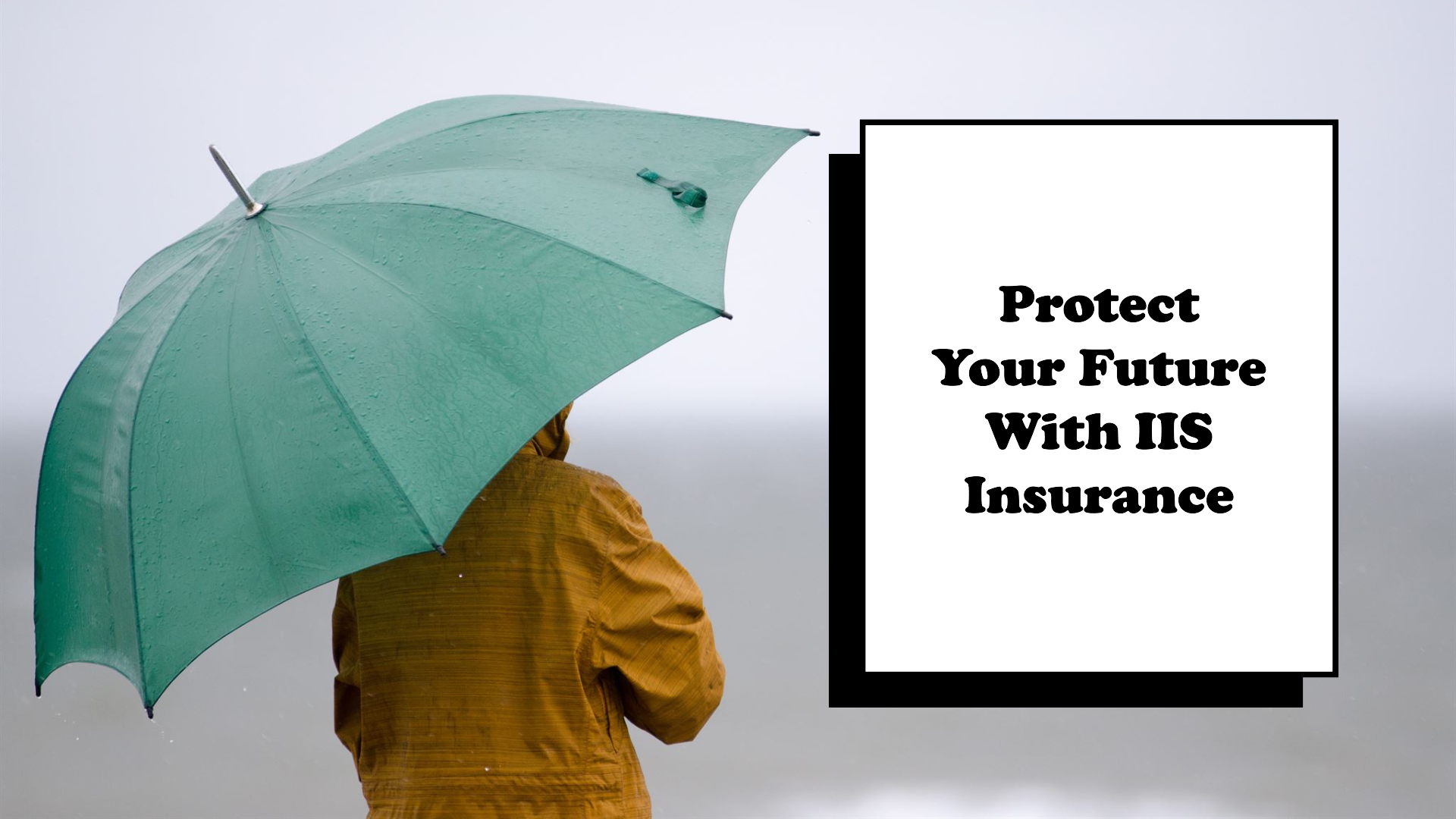 a-professional-solution-for-insurance-agencys-wordpress-website